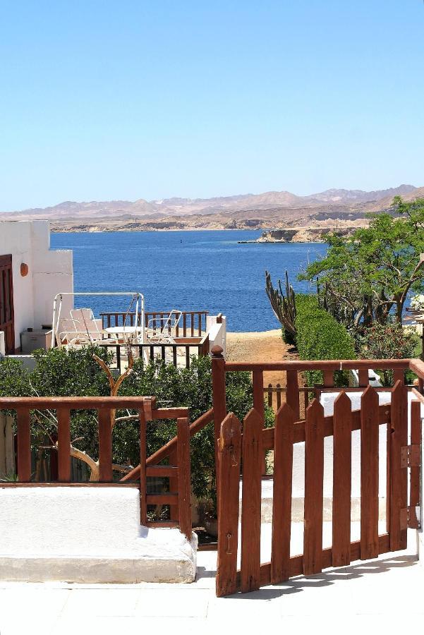 שארם א-שייח Abouseif Guest House מראה חיצוני תמונה