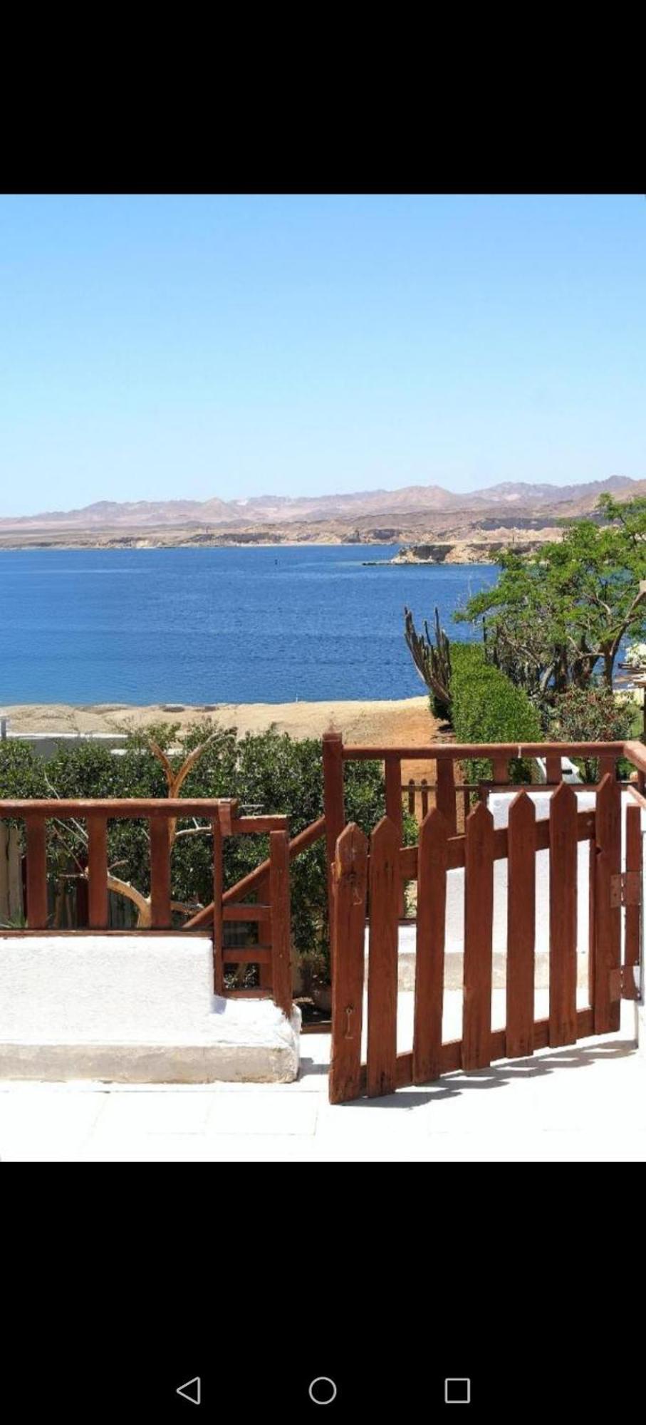 שארם א-שייח Abouseif Guest House חדר תמונה